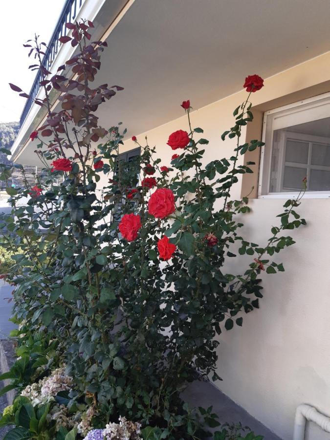 Apartamento Piquinho 马希库 外观 照片